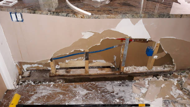Best Water damage contractors near me  in Marmet, WV