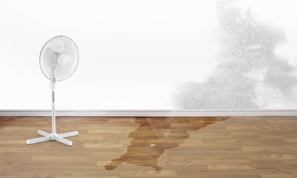 Best 24-hour water damage restoration  in Marmet, WV