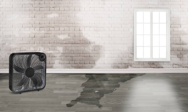  Marmet, WV Water damage restoration Pros