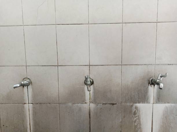 Best Water damage restoration insurance claims  in Marmet, WV