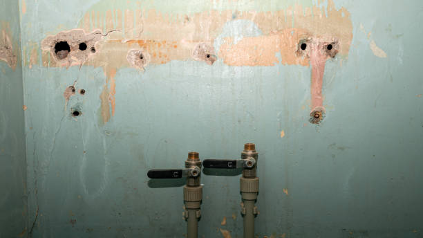 Best Mold removal after water damage  in Marmet, WV