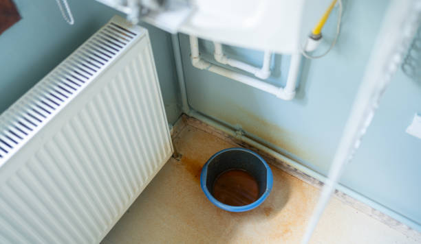 Best Ceiling water damage repair  in Marmet, WV