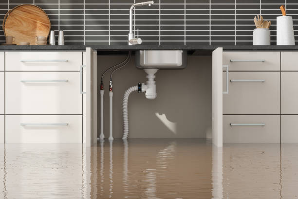 Best Residential water damage restoration  in Marmet, WV