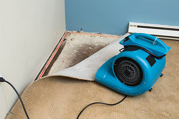 Best 24/7 water damage repair  in Marmet, WV